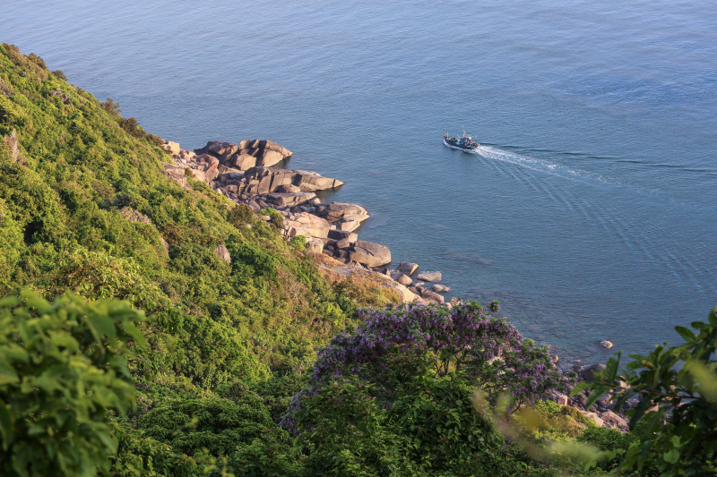 hoa th&agrave;n m&aacute;t 7