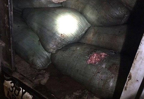 12741912_564005793763430_636164369615394759_n