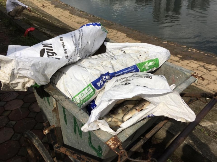 14875103_861940080607158_669308056_n