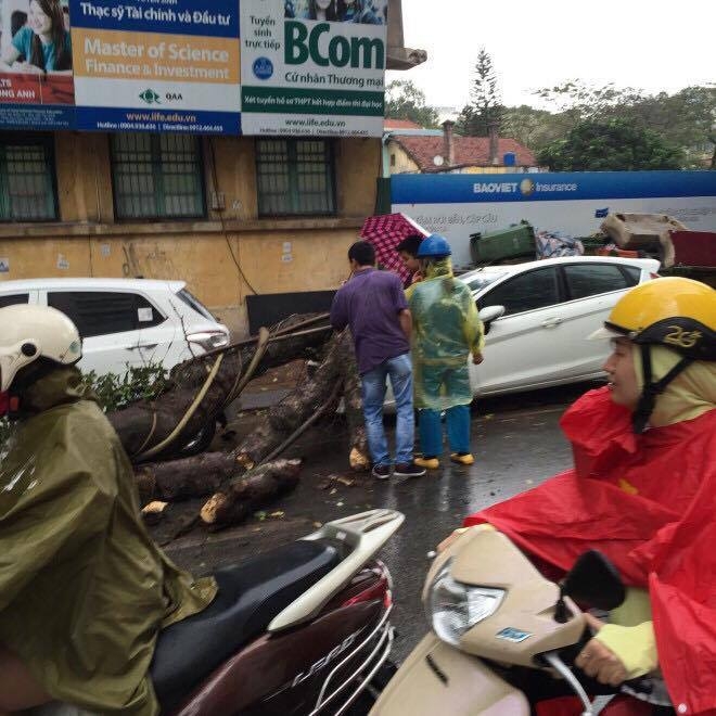 17618890_1984993205115875_1185616516_n