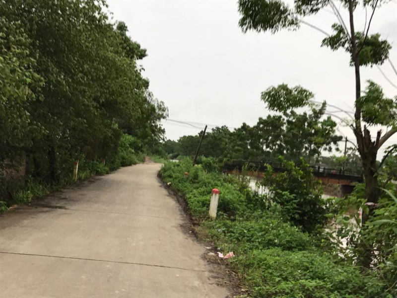 22551424_1076150052519492_767915932_n