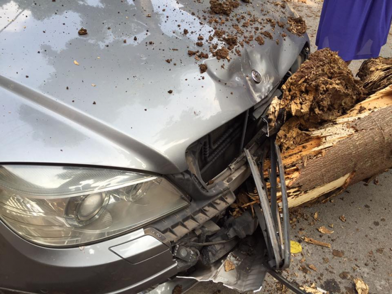 23559516_1695178387223791_8934280925656079719_n