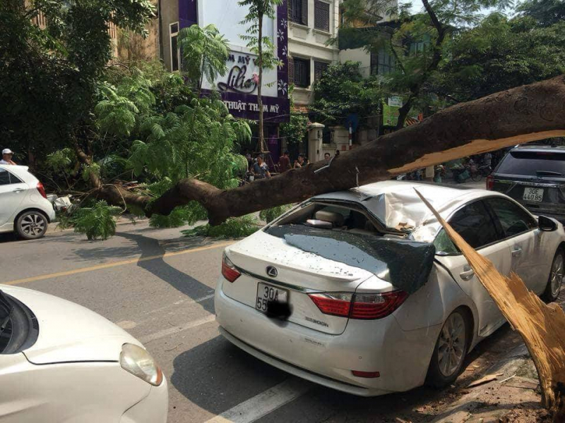 34321451_2144088835826556_4815878685053681664_n