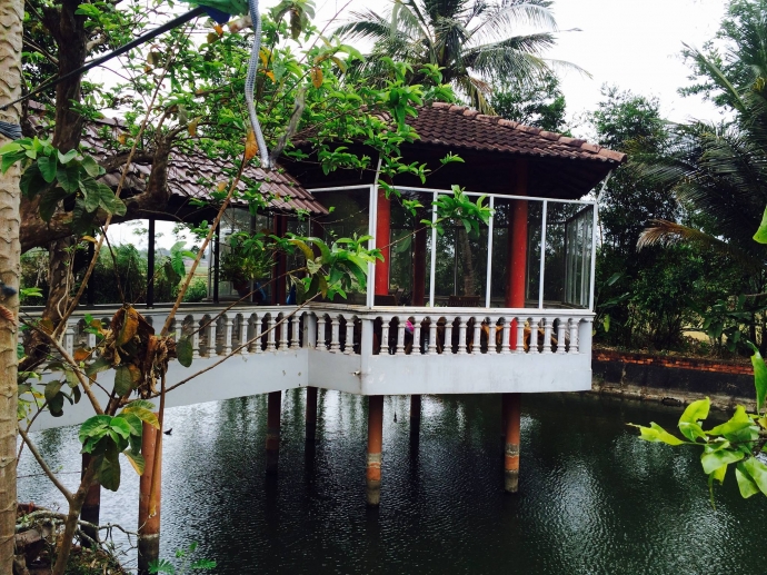 17797185_10203111980196094_1724204141_o