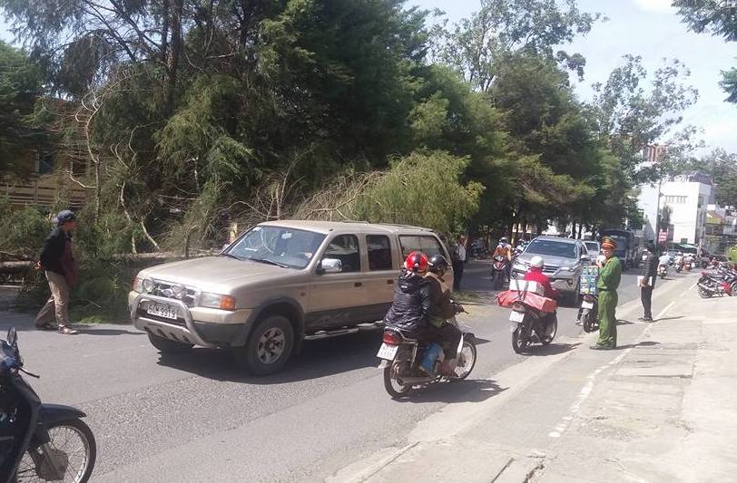 20479661_1720911454879745_4713972587284419817_n