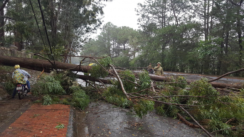 23223385_1981539682126376_1230000486_o