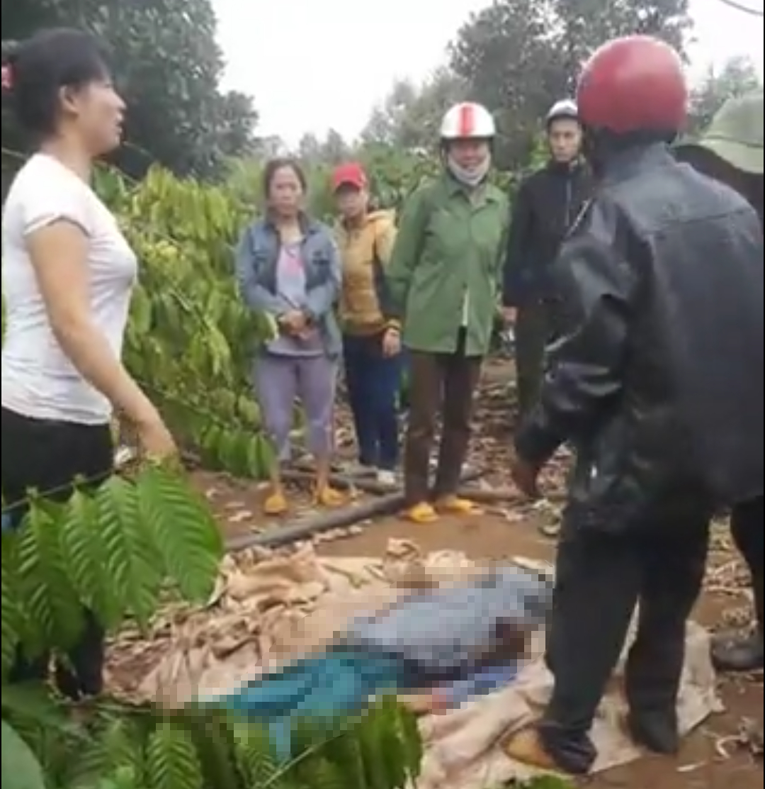 26854290_1810214579028885_1989621714_o