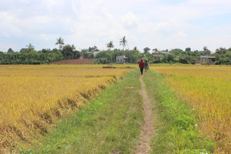 32150266_10204666779945116_2167036538154647552_n