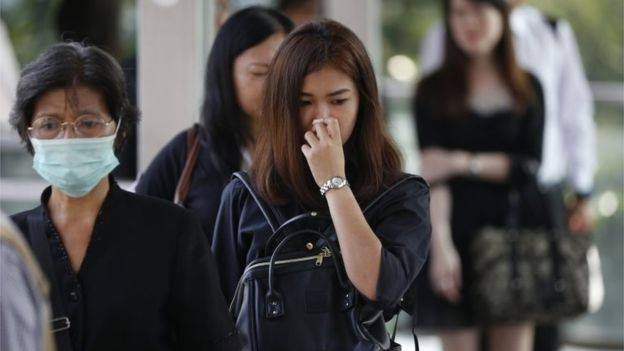 14699943_1317813068229582_1453209950_n