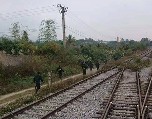 12804846_493533984163673_9061291769956088394_n