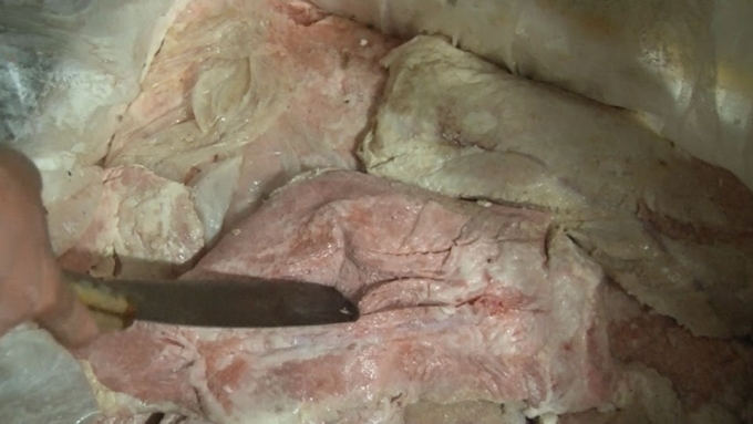 1e30e583-b07d-4120-ba65-d4fb77e602eb-0823