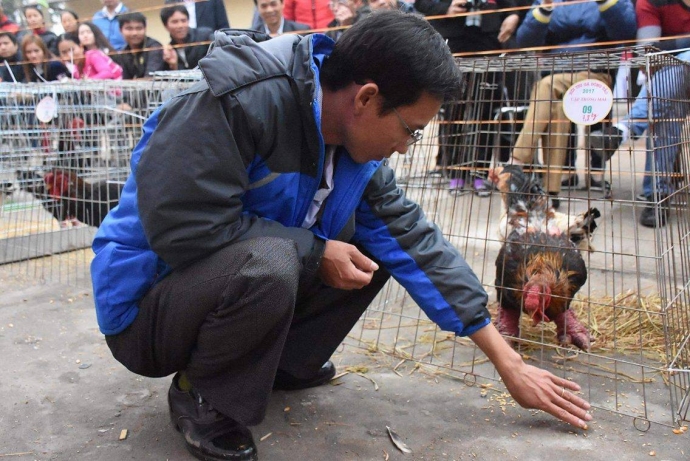 15820577_1209772889069839_1111350085_o