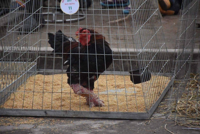 15824662_1209772812403180_236492397_o