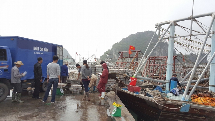 17193917_1272414346139026_1331289948_o