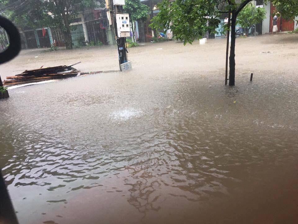 19884493_458145721244918_3945347561521383246_n