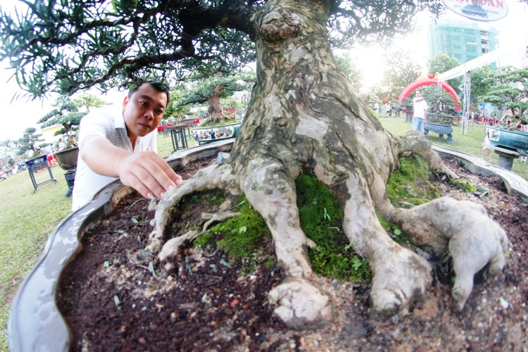 canh-doc-binh-dinh-3