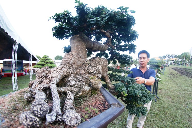 canh-doc-binh-dinh-7