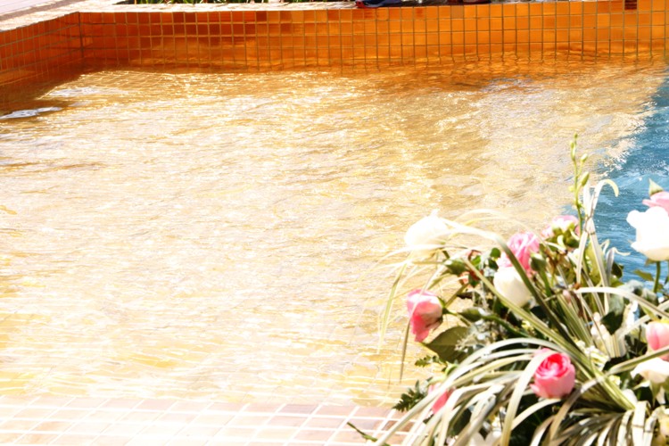 ky-luc-hoa-binh-green-da-nang-11