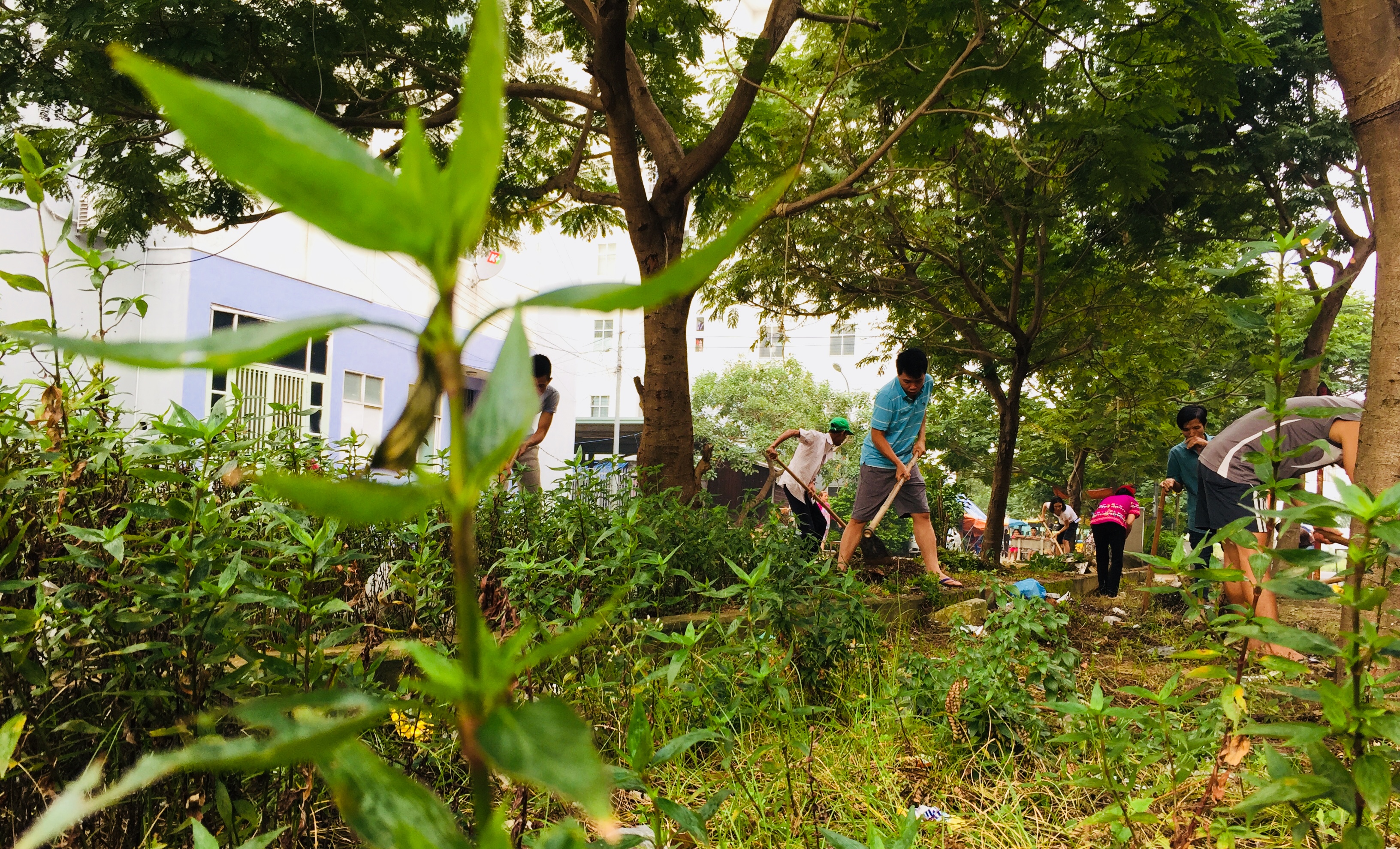 29CAFDFA-996A-4E01-9EBC-BFDAAE721C7E.