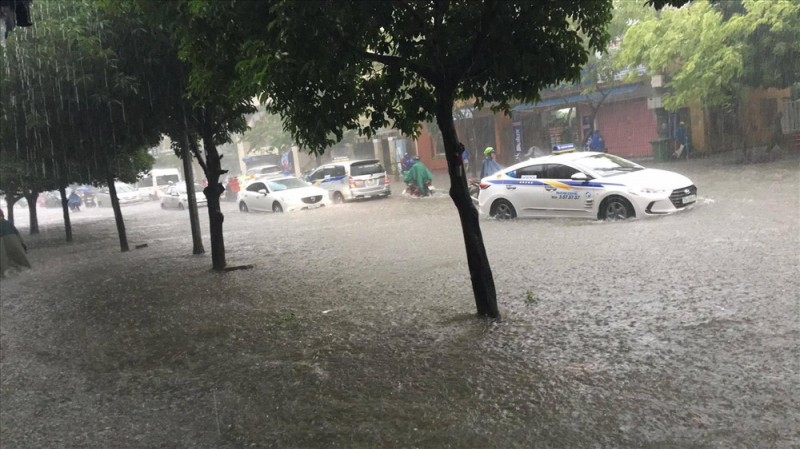 23336147_84506325565