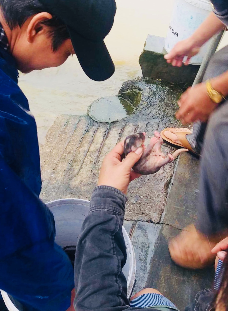 C6A4D90D-299C-4447-BA83-3DA381ECFB5B.