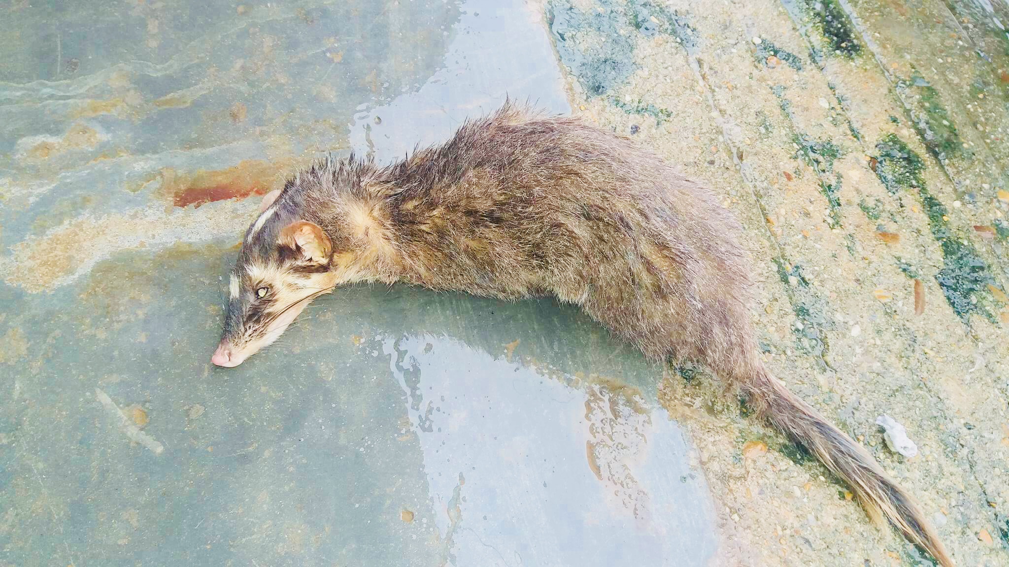 A06AED30-A3EF-4192-996F-D48774D7C075.