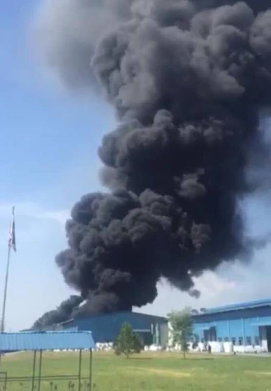 49864384_554636525015759_2987670553512378368_n