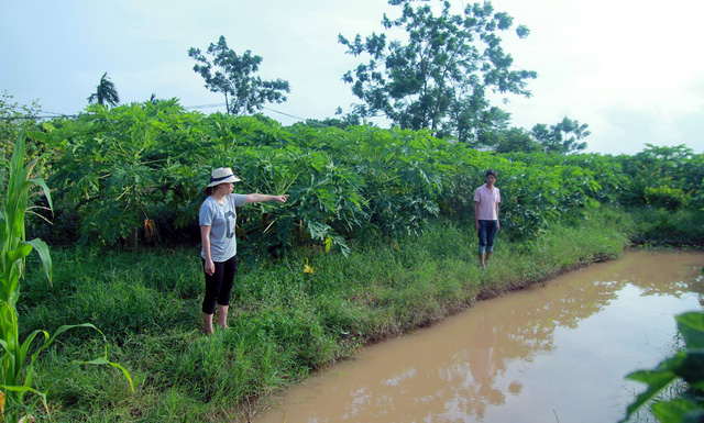 chau-be-10-tuoi-1500600309901-1503029363072