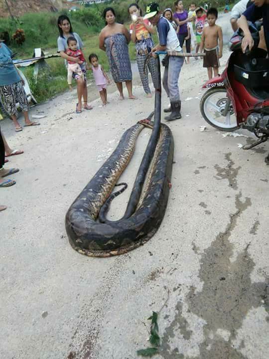 Dan-lang-Malaysia-bat-tran-khong-lo-nang-1-ta-xe-t