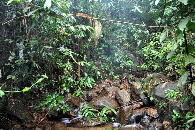 TT-Hue-Phat-hien-thi-the-nam-thanh-nien-treo-tren-