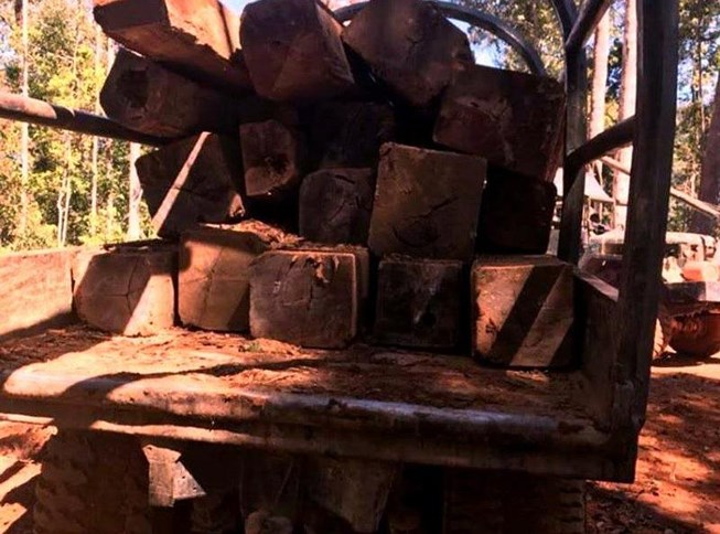 cho-go_tmrs_thumb_thumb