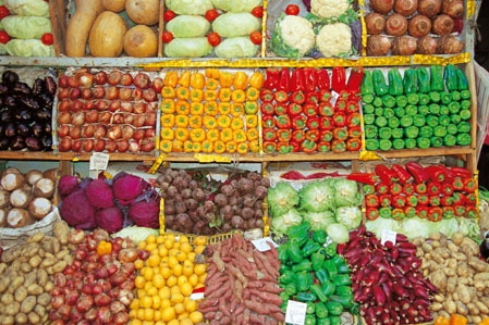 thuml_y10zSNjwiv0c4MtH