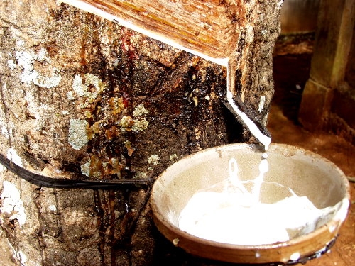 caosu-6269-1431162838