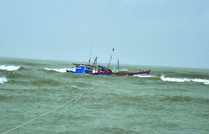 tim-kiem-cuu-nan_1-1526