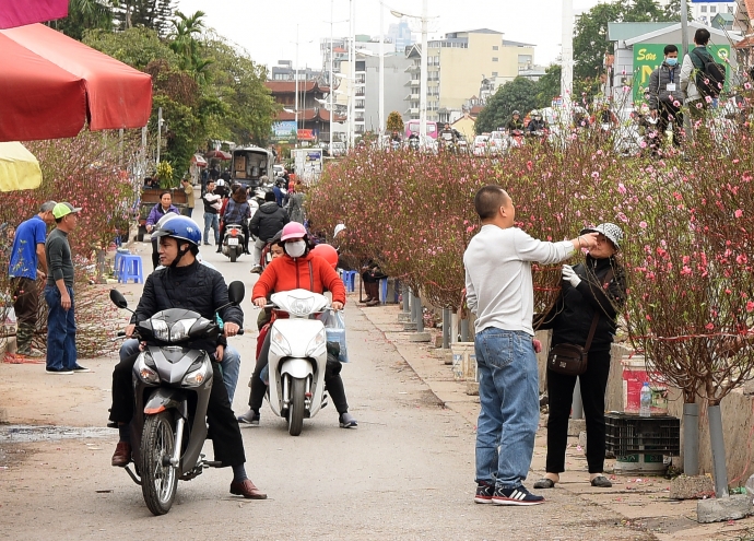 xuan-den-muon-o-cac-cho-hoa-tet (27)
