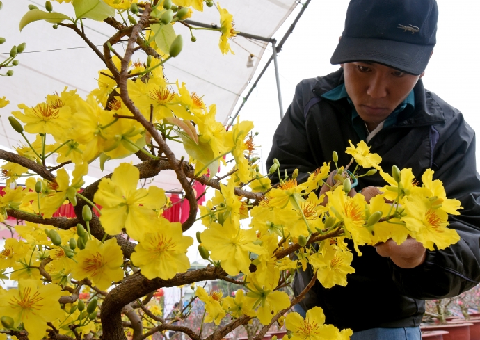 xuan-den-muon-o-cac-cho-hoa-tet-cua-ha-noi (5)
