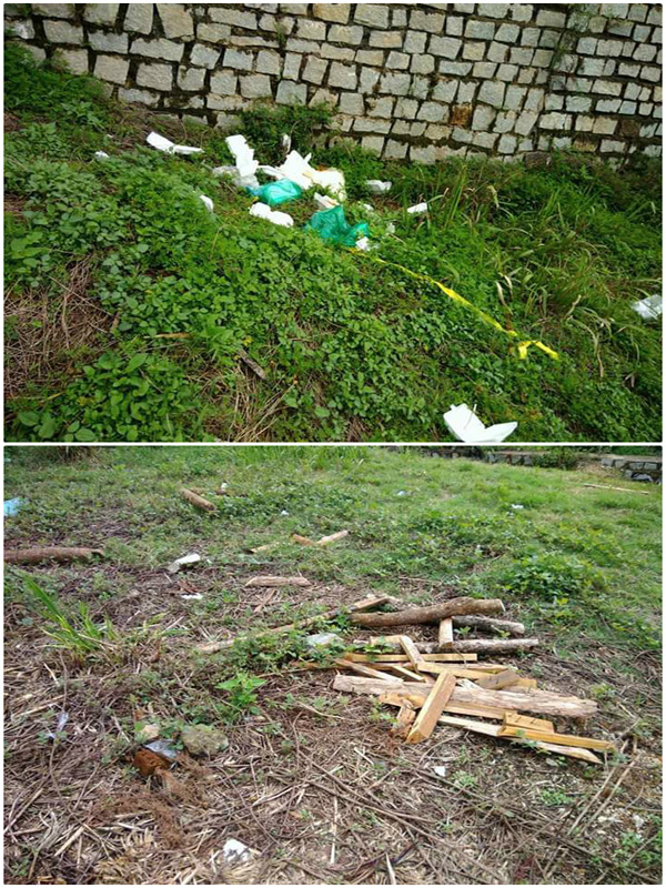 Will-6-1461-1498440993