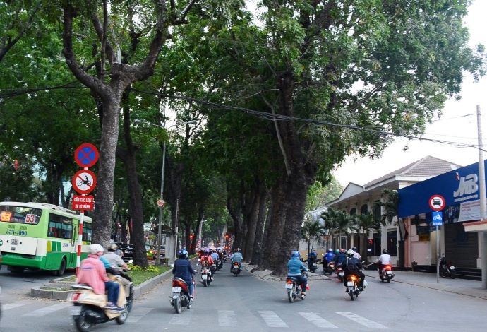 316 c&acirc;y xanh chạy dọc tr&ecirc;n đường T&ocirc;n Đức Thắng đoạ