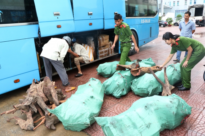 Lực lượng chức năng tiến h&agrave;nh b&oacute;c dỡ, tạm giữ l&ocirc; h