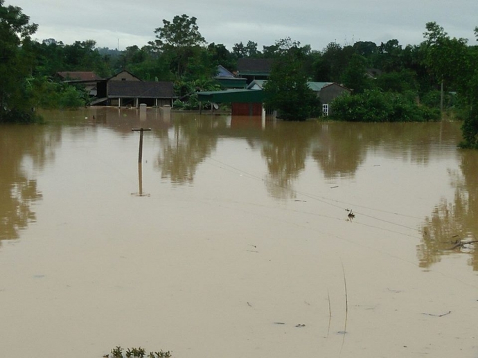 14642962_634984933329677_1535060953_n