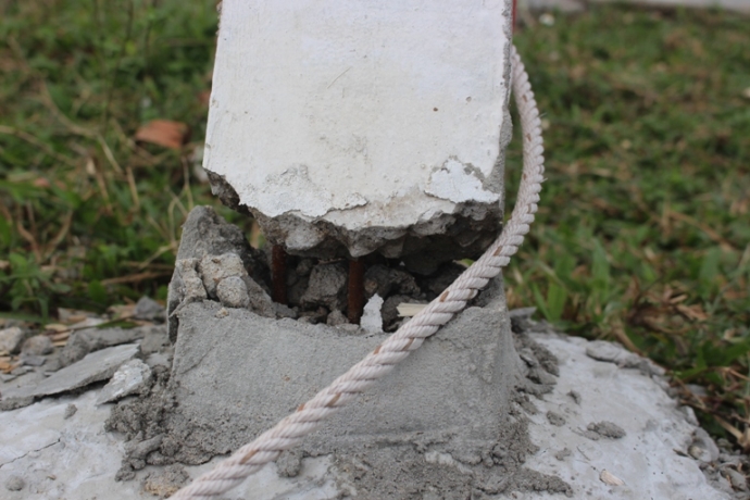 Trau- bo- gam- hang- loat- coc- be- tong- tren- du