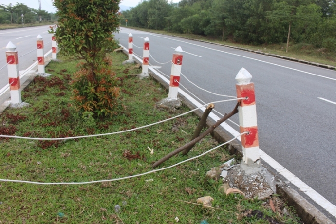 Trau- bo- gam- hang- loat- coc- be- tong- tren- du