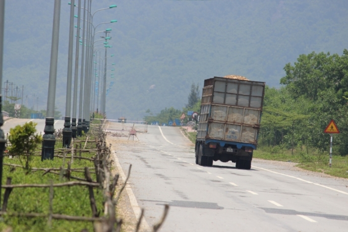 Trau- bo- gam- hang- loat- coc- be- tong- tren- du