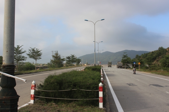 Trau- bo- gam- hang- loat- coc- be- tong- tren- du