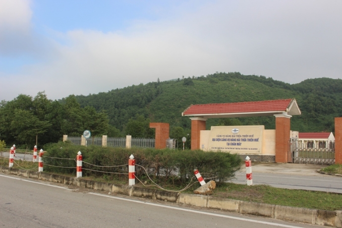 Trau- bo- gam- hang- loat- coc- be- tong- tren- du