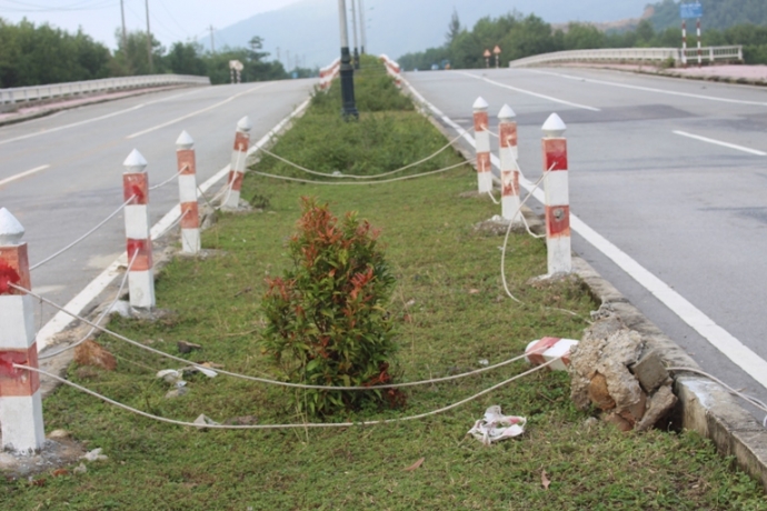 Trau- bo- gam- hang- loat- coc- be- tong- tren- du