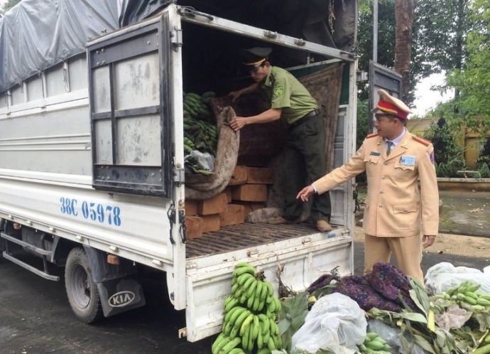 Bat- xe- tai- nguy- trang- go- lau- duoi- nhung- b