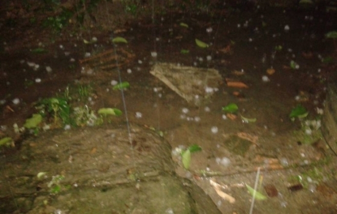 Mua- da- lai- hoanh- hanh- tai- Thua- Thien- &ndash; Hue