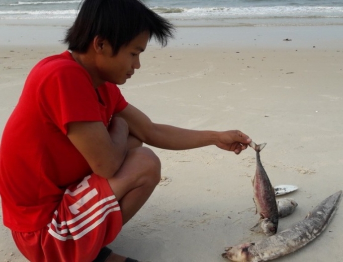 Tren- 11.000- ho- dan- Quang- Tri- bi- anh- huong-