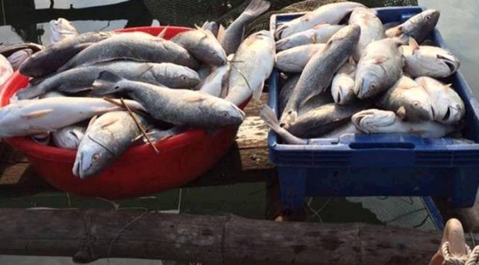 Ho- tro- khan- cap- nguoi- dan- anh- huong- hai- s